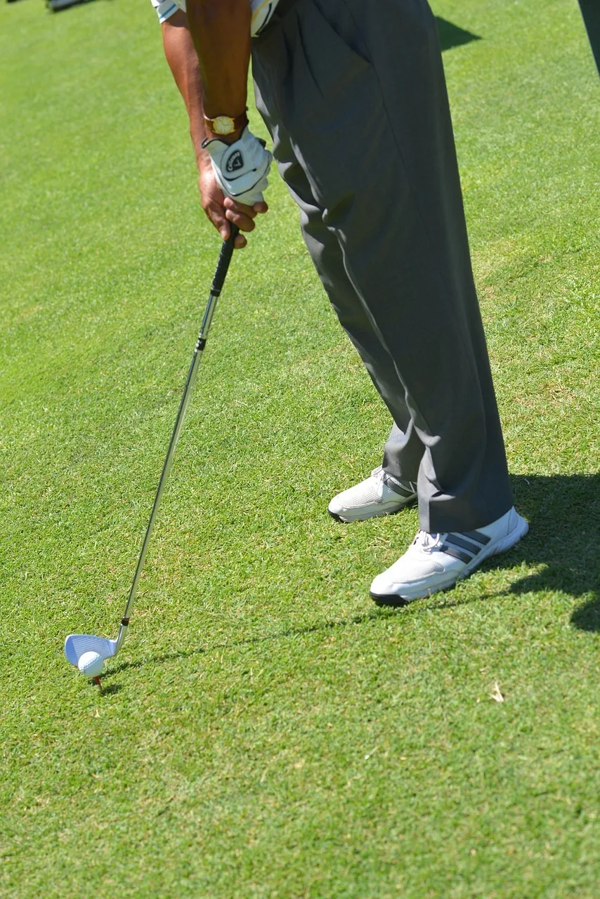 golf-swing-480968_1280 高爾夫站姿
